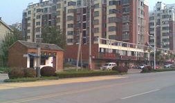 明珠大道最新爆料,揭秘城市交通新动脉的蜕变与未来